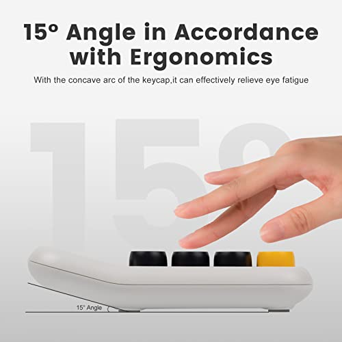 Standard Calculator 12 Digit,Desktop Calculator With Large Display And Buttons,Mechanical Feeling Calculators For Office,Basic Calculator For Home School With Automatic Sleep #TOP4