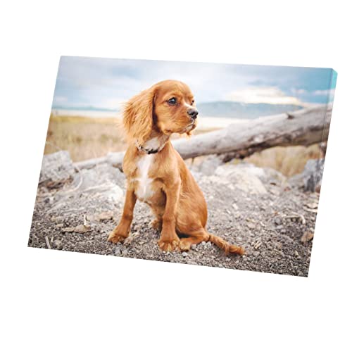 Toile Cavalier King Charles au bord de la plage pour créer un salon style bord de mer