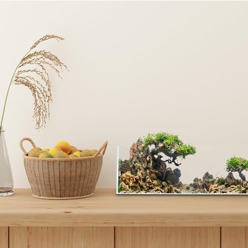 Image of UNS Ultra Clear Rimless Tank - 10.2GAL | 38.8L - 23.62x14.17x7.08 | 60x36x18 CM, 5mm Glass Thickness, Leveling Mat Included - Low Iron, High Clarity Fish Tank w / 45 Mitered Edge - [60S]