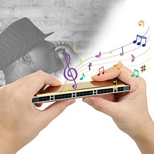Clé de l’orgue à bouche Harmonica diatonique à 24 trous G avec étui pour étudiants adultes débutants(Golden G #Key) - Les Beatles, Paul McCartney, John Lennon, RIngo Starr, George Harrison Clé de l'orgue à bouche Harmonica diatonique à 24 trous G avec étui pour étudiants adultes débutants(Golden G #Key) – Image 8