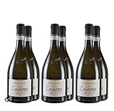  Lugana Garda DOC 2020 (6 Fl. x 0.75 L) Monte del Fra