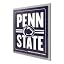 Penn State Nittany Lions