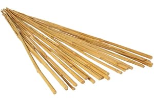 Hydrofarm 6 ft Bamboo Stakes