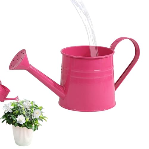 – Pulverizador estético de boquilla larga de 1 litro – para plantas de interior | para decoración del hogar, jardín, patio, césped, , paisaje, flores, bonsái