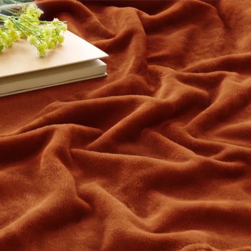 Image of BEDELITE Fleece Blanket Soft Plush Throw for Couch Terracotta 50 inchx60 inch