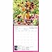 Carousel Worldwide, Sarah Raven 2026 Square Wall Calendar