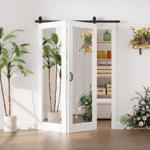 Image of Bifold Barn Door Slab 48 inchx80 inch with White Full Length Mirror & 64 inch Track Kit