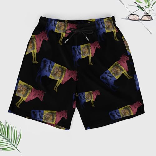Andorran Flag Bull Cow Beach Shorts for Men Swim Trunks Quick Dry Swim Shorts with Compression Liner Pocket3