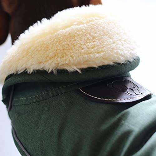 Kentucky Hundemantel - Wasserdicht Grün 300g - L - 51-59cm