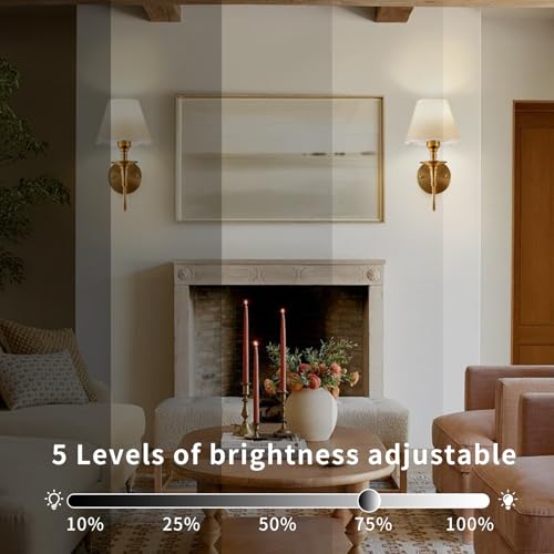 Image of EIDISUNY Battery Operated Wall Sconces Set of 2, Rattan Wall Sconce with RGB Rechargeable Dimmable Bulbs, Brass-Color Wireless Wall Sconce with Remote for Bedroom, Living Room, Hallway