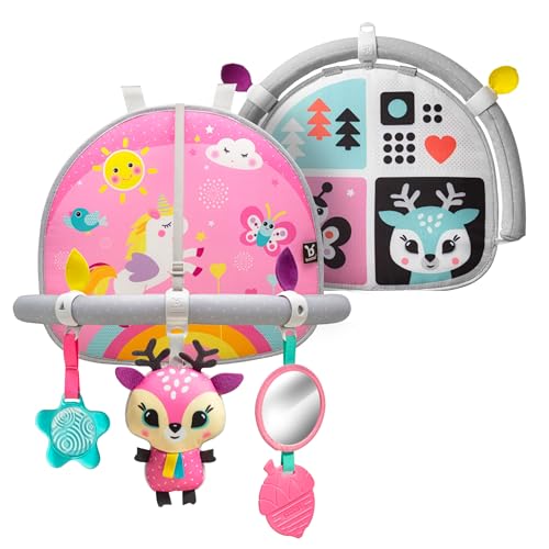 Image of BENBAT Car Seat Toys for Babies - Double Sided Rear Facing Carseat Toy with Baby Mirror for Infants Girls and Boys 0-18 Months, Pink
