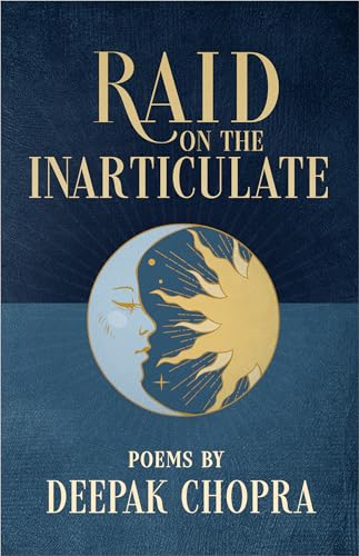 Raid on the Inarticulate view 2