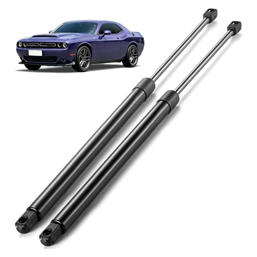 ARANA Trunk Struts for Dodge Challenger 2008-2020-with Spoiler, PM3462 Rear Hatch Shocks Lift Support for Dodge Challenger Base/Black Line/R/T/SE/ SRT8, Replacement OEM 04589645AA 04589645AB, 2 Pcs
