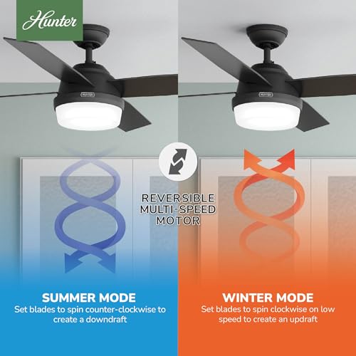 Image of Hunter Dempsey, Indoor, Ceiling Fan, Modern, 4 Blades, 52 inch, Matte Black