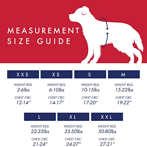 H&K Hudson Harness | Blue (Small) | Easy Control Step-in Mesh Vest Harness for Dogs with Reflective Strips for Safety… - Image 3