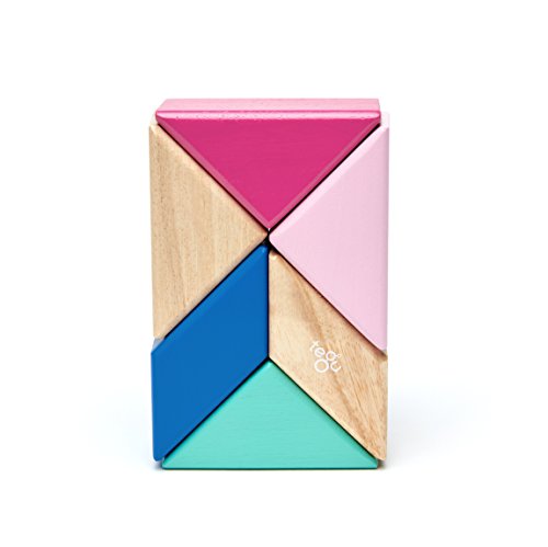 Tegu - Juego de Bloques de Construcción de madera magnéticos de 6 piezas Prismas con estuche , color/modelo surtido