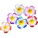 Calcifer 30pcs 1.97''Hawaii Hawaiian Plumeria Flower Clips Bridal Wedding Party Beach Hair Clips
