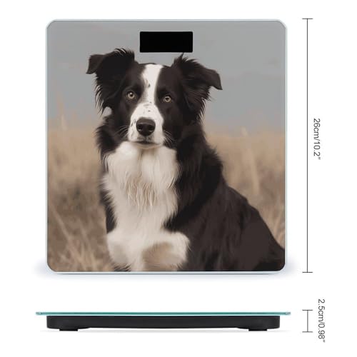 Báscula digital inteligente para baño Border Collie miniatura 2