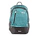 Price comparison product image Fila Duel Tablet and Laptop Backpack, Teal