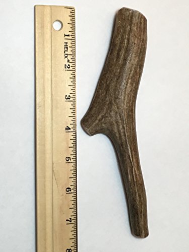 Deer Antlers for Dogs, Premium, Grade A, Deer Antler Dog Chew, Long Lasting Dog Treat for Your Pet. from The USA (Large 6-7") - Thumbnail 2
