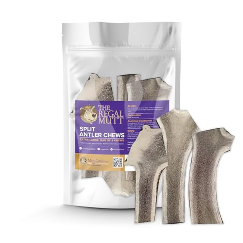 Are antlers safe for dogs to eat