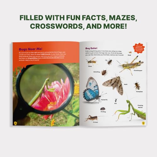 Image of The Grossest Bug Activity Book EVER!: Creep Yourself Out with Fun Facts, Mazes, Crosswords, and More
