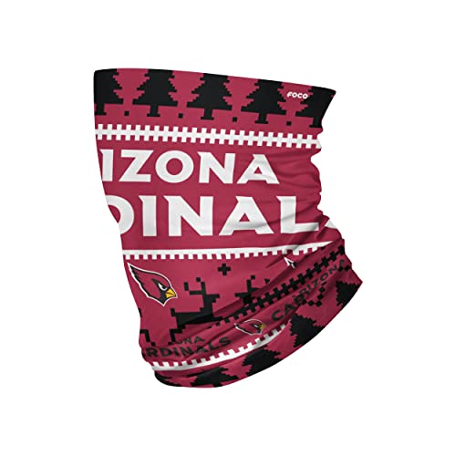 FOCO Arizona Cardinals NFL Wordmark Holiday Gaiter Scarf