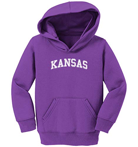 Haase Unlimited Kansas - State Proud Strong Pride Toddler/Youth Fleece Hoodie2
