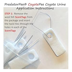 100 pure coyote urine   cucciolini doodles