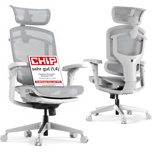 FLEXISPOT ErgoX Pro Sedia da Ufficio Ergonomica con Poggiapiedi, Regolazione Altezza a 12 Livelli, Braccioli 7D, Supporto Lombare 5D, Poggiatesta 4D, Portata 250 kg e Seduta in Rete – Grigio