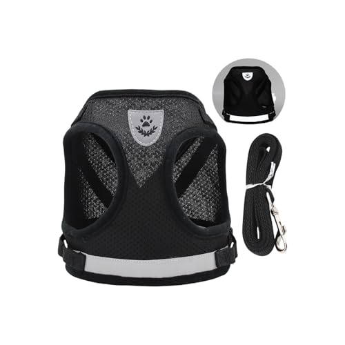 ˌn[lXʋClbgxXg^p[vtSȃfUCybgOEH[LOMAsɗDybgxXg