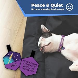 GoTags Silent Dog Tag, Personalized Engraved Silicone Dog and Cat Name Pet ID Tags, Soundless No More Jingling Dog Tags (Forest Gold)