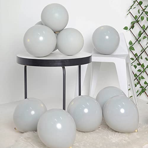 Balsa Circle 25 Gray 10" Double Stuffed Latex Helium Air Balloons - Wedding Reception Birthday Events Party Decorations Supplies #TOP3