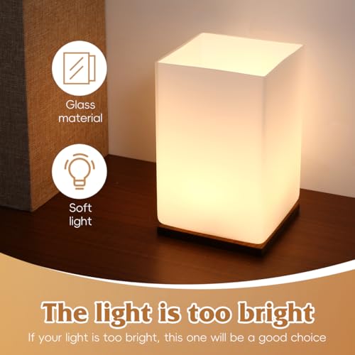 Image of PRETYZOOM Frosted Glass Light Shade 3.93 inch inchx3.93 inch inchx5.9 inch inch - Square Cylinder Lamp Cover Soft-Glare Replacement for Pendant, Wall & Table Lamps, Bedroom, Kitchen, Living Room