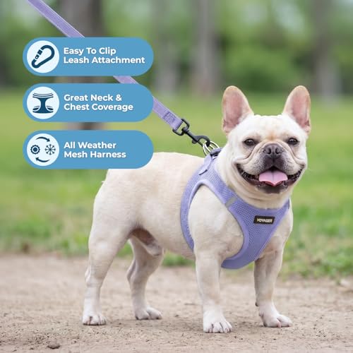 Image of Best Pet Supplies Voyager Step-in Air All Weather Mesh Harness and Reflective Dog 5ft Leash Combo with Neoprene Handle, for Small, Medium and Large Breed Puppies - Lavender, L