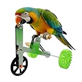 Jouets pour oiseaux, pour perruches, calopsittes, calopsittes, perroquets gris africains, aras cacatoès