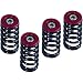 Barnett Performance Products Spring Kit, Red 519-25-06098