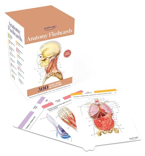 Anatomy Flashcards: 300 Flashcards with Drawings