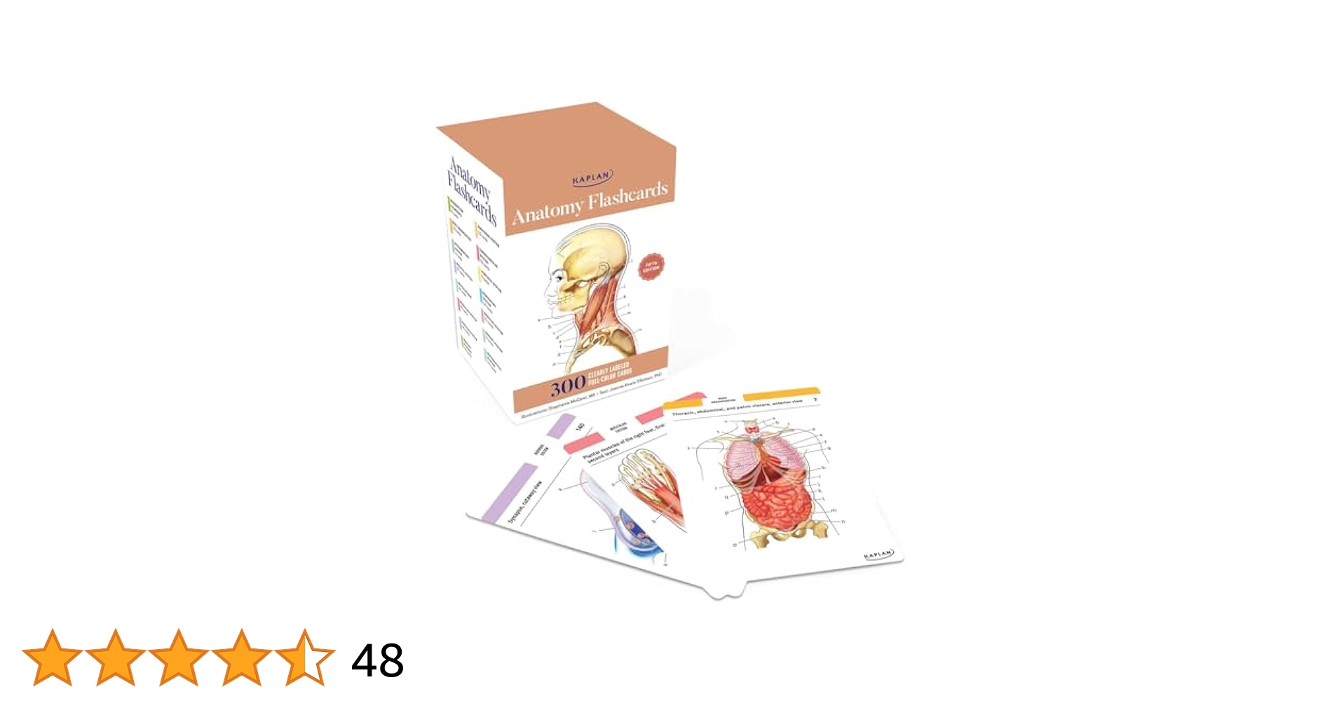 健康・医学 Kaplan Medical Anatomy Flashcards Anatomy Flashcards: 9781506223537: Medicine & Health Science