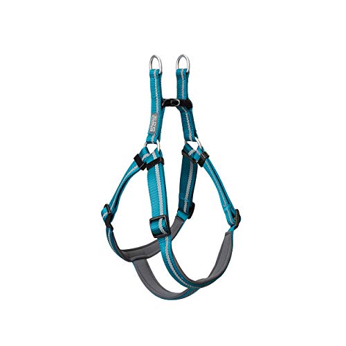 Terrain D.O.G. Reflective Neoprene Lined Dog Harness, Blue Bay, Large, 20-33 inch Girth Size