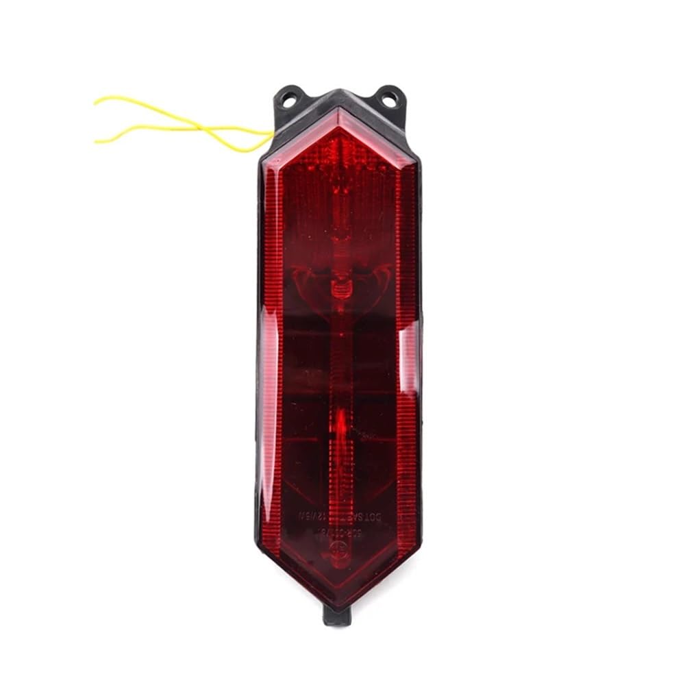 Feu Arrière LED + Clignotants Intégrés Yamaha R1 RN09 2002-2003 & Raptor 700 - Blanc Clair AVDB