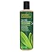 Produktbild Desert Essence Täglich Auffrischendes Shampoo 381 ml