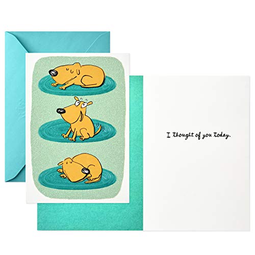 Hallmark Shoebox Cancer Support Card Assortment (6 Cards With Envelopes) (1499Rzg1002) #TOP1