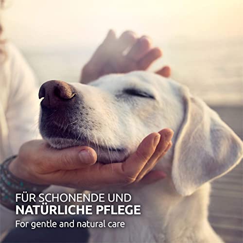 AniForte Aloe Vera Welpenshampoo für Hunde 200ml - Hundeshampoo mild & parfümfrei, Welpen Shampoo für Junghunde & empfindliche Hunde, für glänzendes & leicht kämmbares Fell