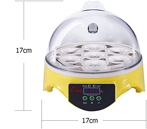 Mini Digital Egg Incubator Automatische ei Draaien Temperatuurregeling, 7 Eggs Poultry Hatcher voor kippen Eenden vogels… - Afbeelding 4