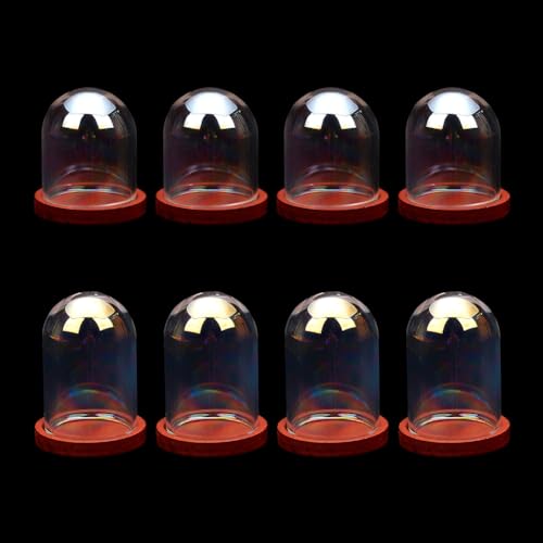 Cloche en verre avec base anti-poussière pour protéger vos objets précieux