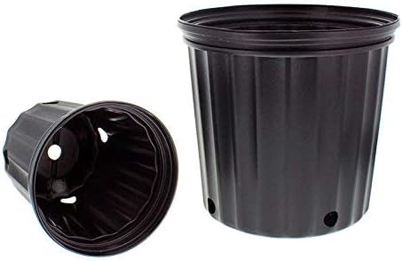 Elite 2.5 Gallon (Trade) Black Nursery Container Pot - 50/Bundle