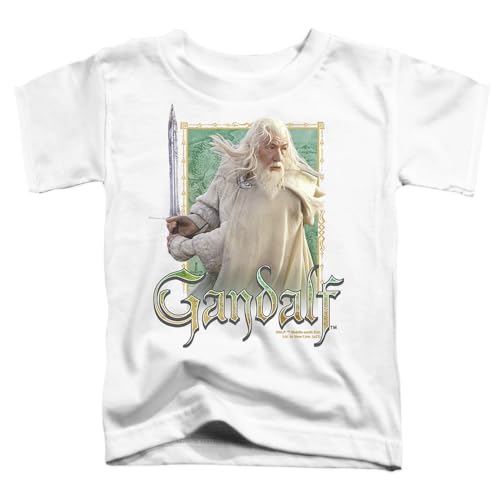 Popfunk Lord of The Rings Characters Collection Kids T-Shirt for Youth Toddler Boys and Girls2
