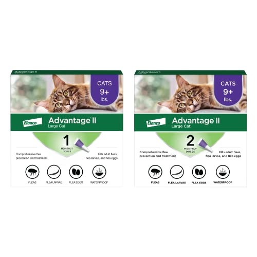 Advantage II Large Cat Flea Treatment & Prevention, Over 9 lbs.