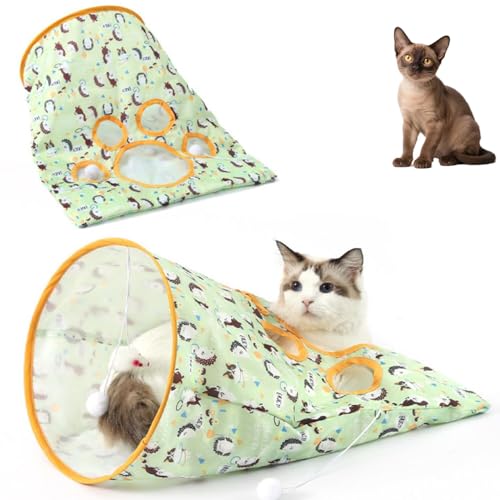 Lifetips o[~[Y Burmese Lgl Lbggl ܂肽ݎ ybggl Lp   B  ^s XgXU RpNg[ 􂦂 iC {[t 炵t ܂݃gl